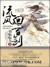 《流风回雪剑》小说封面