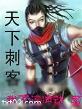 《天下刺客》小说封面