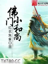 《佛门小和尚》小说封面