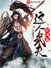 《这个武夫好凶猛》小说封面