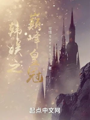 《韩娱之巅峰皇冠》小说封面