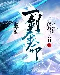 《一剑夺命》小说封面
