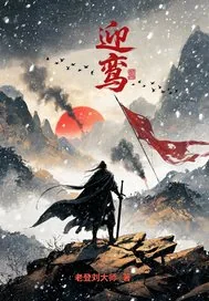 《迎鸾》小说封面