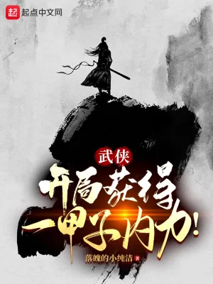 《武侠：开局获得一甲子内力！》小说封面
