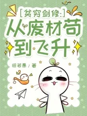 《贫穷剑修：从废材苟到飞升》小说封面
