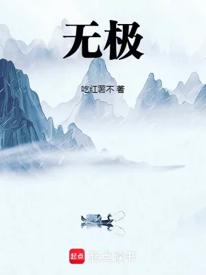 《无极！》小说封面