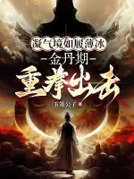 《凝气境如履薄冰，金丹期重拳出击》小说封面