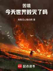 《苦境：今天世界毁灭了吗》小说封面