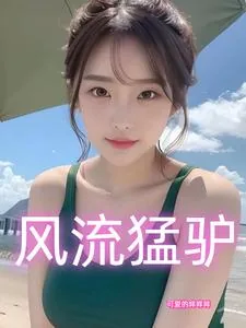 《风流猛驴》小说封面
