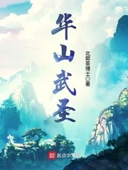 《华山武圣》小说封面