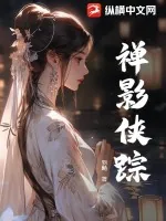 《禅影侠踪》小说封面