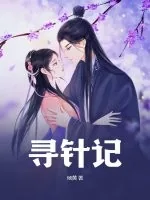 《寻针记》小说封面