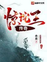 《惊诧王传奇》小说封面