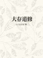 《大存道修》小说封面