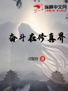 《奋斗在修真界》小说封面