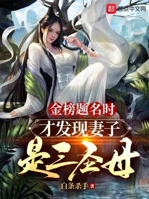 《金榜题名时，才发现妻子是三圣母》小说封面