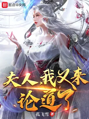 《夫人，我又来论道了！》小说封面