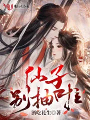 《仙子别抽啦》小说封面
