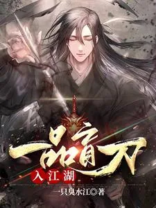 《一品盲刀入江湖》小说封面