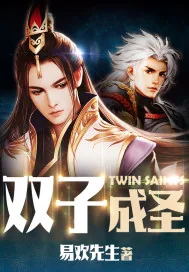 《双子成圣》小说封面