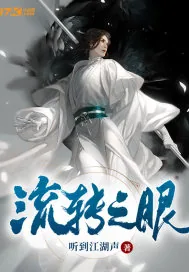 《流转之眼》小说封面