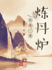 《我是一尊炼丹炉》小说封面