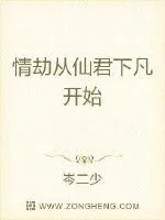 《情劫从仙君下凡开始》小说封面