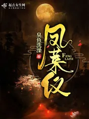 《凤莱仪》小说封面