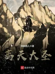 《离天大圣》小说封面