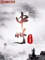 《中州》小说封面