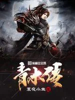 《青木传》小说封面