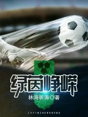 《绿茵峥嵘》小说封面