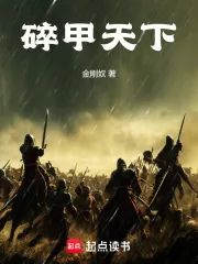 《碎甲天下》小说封面