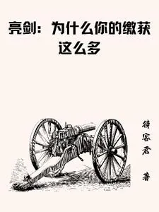 《亮剑：为什么你的缴获这么多》小说封面