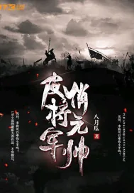 《皮将军俏元帅》小说封面