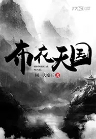 《布衣天国》小说封面