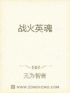 《战火英魂》小说封面
