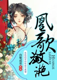 《凰歌潋滟》小说封面