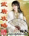 《武唐攻略》小说封面