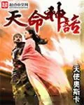 《天命神话》小说封面