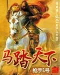 《马踏天下》小说封面