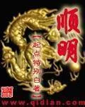《顺明》小说封面