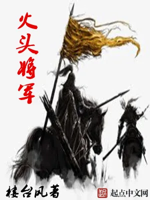 《火头将军》小说封面