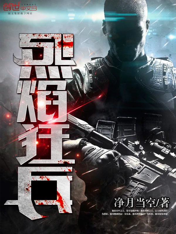 《烈焰狂兵》小说封面