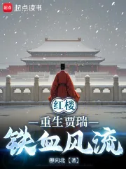 《红楼：重生贾瑞，铁血风流》小说封面
