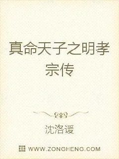 《真命天子之明孝宗传》小说封面