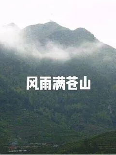 《风雨满苍山》小说封面