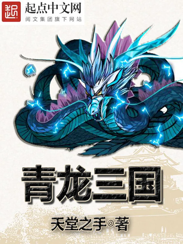 《青龙三国》小说封面