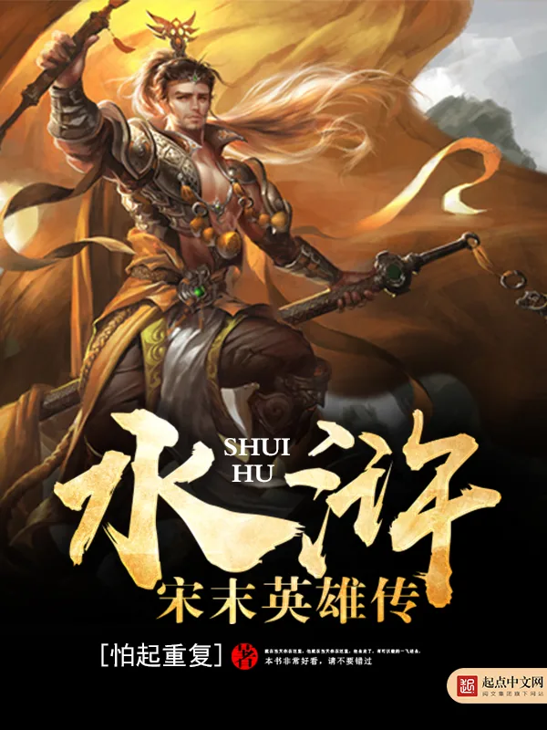 《水浒之宋末英雄传》小说封面
