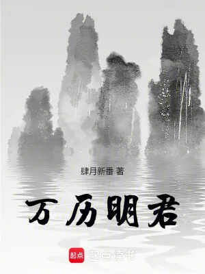 《万历明君》小说封面